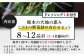 定期便6回【 野菜で野菜を食べる 】旬のこだわり 野菜 ＆ドレッシング セット  (3〜4名様向け) 