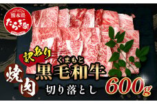 通常発送【訳あり】くまもと 黒毛和牛 焼肉 切り落とし 600g 《 本場 熊本県 黒毛 和牛 ブランド 牛 肉 焼き肉 やきにく 上質 くまもと 訳アリ 》 113-0504