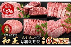 【定期便6回】くまもと黒毛和牛【 和王 堪能 定期便 】6回配送 ブランド牛 プレミアム 定期便 サーロイン ヒレ ステーキ 最上級 黒毛 和牛 牛肉 国産 A4 A5 熊本県 冷凍 》113-0604