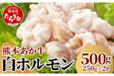 熊本あか牛 白ホルモン 計500g（250g×2パック）冷凍真空パック 【 熊本 熊本県産 あか牛 冷凍 真空 もつ鍋 ホルモン 焼き肉 】 041-0135