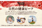 熊本 あか牛 スジ肉 1㎏ 