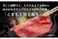 【定期便3回】訳あり くまもと黒毛和牛 切り落とし 1.2kg 