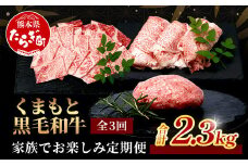 【定期便3回】くまもと黒毛和牛 家族でお楽しみ定期便 《 ロース すき焼き 焼肉 ハンバーグ10個 》【合計2.3kg】黒毛 和牛 焼き肉 すスキヤキ 焼き肉 上質 ブランド牛 国産 牛肉 冷凍 熊本県 113-0522