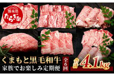 【定期便6回】くまもと黒毛和牛 家族でお楽しみ定期便 《 ロース すき焼き 焼肉 赤身 ハンバーグ10個 》【合計4.1kg】黒毛 和牛 焼き肉 すスキヤキ 焼き肉 上質 ブランド牛 国産 牛肉 冷凍 熊本県 113-0523