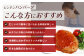 レンチン ハンバーグ ≪トマトソース≫ 10個