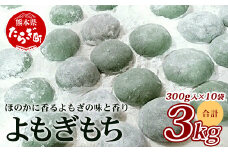 【年内発送】冷凍《 餅 》よもぎもち 約3kg (300g×10パック) こもち 小餅 餅 お餅 おもち お正月 お米 食べやすい サイズ 大容量 年内発送 年内配送 082-0628-12