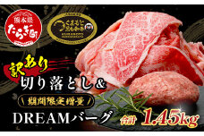 《R7.5・6・7・8・9月発送 限定 増量 》くまもと黒毛和牛 切り落とし 1kg + DREAMバーグ 150g×3個 【合計1450g】 切り落とし 1キロ + 牛肉 100％ 国産 生 ハンバーグ  ブランド牛 上質 和牛 霜降り お得 限定品 惣菜 冷凍 熊本県 113-0530