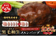 《R7.5・6・7・8・9月発送 限定 増量 》 くまもと黒毛和牛 DREAMバーグ 150g×5個 +2個！計1050g 牛肉 100％ 増量 国産 生 ハンバーグ 熊本 ブランド牛 黒毛 和牛 上質 和牛 霜降り はんばーぐ 惣菜 冷凍 小分け 熊本県 113-0508-g