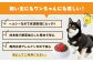 【定期便3回】ペット用 熊本加工 馬肉 切り落とし 【合計3kg】