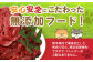 【定期便6回】ペット用 熊本加工 馬肉 切り落とし【合計6kg】