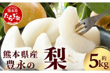 【2025年8月中旬～発送】豊永の 梨 約5kg なし 熊本県 多良木町 フル－ツ 幸水 新高 新興 豊水 秋月 秋麗 果物 梨 果物 旬 甘い シャリシャリ 070-0592