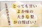 【2025年7月下旬発送開始】梨 約5kg