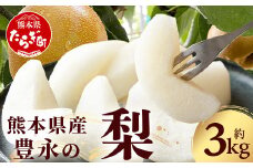 先行予約【2025年8月中旬～発送分】熊本県産 梨 約3kg  【 熊本県 多良木町 ナシ 幸水 新高 新興 豊水 秋月 秋麗 果物 フルーツ 熊本県産 】070-0593