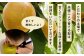 【2025年7月下旬発送開始】 梨 約3kg