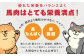 【定期便3回】熊本県内加工 ペットフード セット《 馬肉 切り落とし 1kg & 馬刺し ジャーキー 100g》×3回