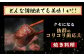 タン先 コロコロカット 合計2kg