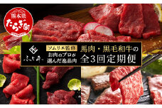 【定期便3回】お肉ソムリエ監修 馬肉・黒毛和牛 定期便 熊本県 ( 馬刺し 食べ比べ / くまもと黒毛和牛 焼肉 / 馬刺し赤身食べ比べ ) ソムリエ セレクト 本場 熊本県 馬肉 牛肉 黒毛和牛 肉 食べ比べ ヘルシー  くまもと 104-0501