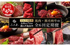 【定期便6回】お肉ソムリエ監修 馬肉・黒毛和牛 定期便 熊本県 ( 馬刺し 赤身 ユッケ 食べ比べ / くまもと黒毛和牛 焼肉・しゃぶしゃぶ・牛まぶし ) ソムリエ セレクト 本場 熊本県 馬肉 牛肉 黒毛和牛 馬刺し 肉 食べ比べ 104-0502