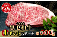 【8月発送】くまもと黒毛和牛 1ポンド ステーキ 約500g《 黒毛 和牛 1 pound ステーキ 500g ブランド牛 上質 常備 冷凍 熊本県 》113-0512-08