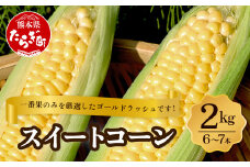 【数量限定】多良木町産 スイートコーン 約 2kg (6～7本) 5月上旬～順次配送 ゴールドラッシュ 一番果 甘い トウモロコシ 旬の味覚 産地直送 コーン とうもろこし 熊本県 089-0690