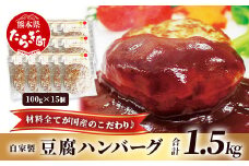自家製 豆腐ハンバーグ 【100g× 15個 】温めるだけ ふっくら ヘルシー ハンバーグ 調理済 濃厚 豆腐 九州産 牛肉 豚肉 ミンチ 熊本県 産 大豆 フクユタカ ふくゆたか 115-0505