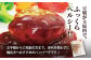 自家製 豆腐ハンバーグ 【100g× 15個 】