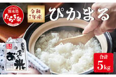 令和7年産 新米 先行予約 多良木町産 ぴかまる 5kg （ 令和7年10月下旬より順次発送 ）新米 農家が食べる お米 5キロ 甘み 米 美味しい米 米 白米 精米 熊本  065-0640