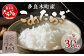多良木町産 こめたらぎ 30kg 1袋 精米 お米