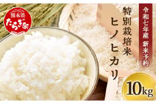 【令和7年 新米予約】特別栽培米「ヒノヒカリ」10kg 精米 井上農園 10月より順次出荷 熊本県 お米 白 米 精米 ひのひかり 国産 114-0601