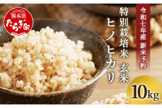 【令和7年 新米予約】特別栽培米「ヒノヒカリ 玄米」10kg 井上農園 10月より順次出荷 熊本県 お米 米 精米 ひのひかり 玄米 国産 114-0602
