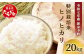 特別栽培米「ヒノヒカリ」20kg