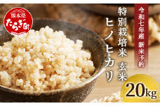 【令和7年 新米予約】特別栽培米「ヒノヒカリ 玄米」20kg 井上農園 10月より順次出荷 熊本県 お米 米 精米 ひのひかり 玄米 国産 114-0604
