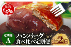 【定期便2回】 人気 ハンバーグ 食べ比べ 定期便 A 自家製豆腐のハンバーグ ／ 4種ソースのレンチンバーグ  バラエティ 定期便 豆腐 肉 温めるだけ 熊本県産 092-0024