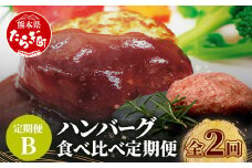 【定期便2回】 人気 ハンバーグ 食べ比べ 定期便 B 自家製豆腐のハンバーグ ／ くまもと黒毛和牛 生ハンバーグ 【合計3kg】 バラエティ 定期便 豆腐 牛肉 肉 熊本県産 092-0025