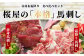 赤身・霜降り 馬刺し 食べ比べ(各150g) 計300g
