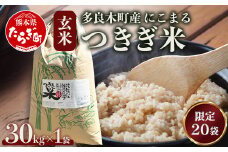【令和7年産 玄米 】10月上旬～発送 多良木町産 にこまる 「つきぎ米」 玄米 30kg 玄米 ハサ干し米 多良木町 たらぎ 槻木 新米 お米 米 熊本県 30キロ  117-0501