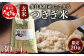 多良木町産 にこまる 「つきぎ米」 玄米 30kg
