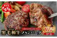 くまもと黒毛和牛  DREAMバーグ 100g×10個 【計1kg】
