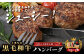 くまもと黒毛和牛  DREAMバーグ 100g×10個 【計1kg】