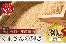 令和7年産新米【玄米 30kg】 くまさんの輝き 30kg (令和7年10月中旬より順次発送) 新米 熊本県 多良木町 お米 30 キロ 米 玄米 107-0703