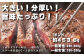 くまもと黒毛和牛 1ポンド ステーキ 約500g