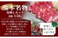 熊本名物 馬刺しセット (特撰 150g) タレ付