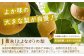 【フルーツ 定期便 3回】2026年発送 メロン・桃・梨