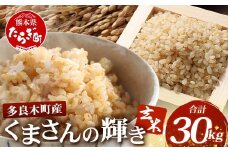 【令和7年産 玄米】くまさんの輝き 玄米 30kg 熊本県 多良木町産 11月中旬～発送 新米 げんまい 熊本県 米どころ たらぎ お米 米 備蓄 30キロ  120-0502