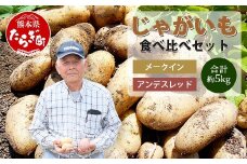 大森さんの じゃがいも 食べ比べセット 約5kg メークイン ／アンデス 熊本県 多良木町産 ジャガイモ じゃが芋 野菜 ポテト 数量限定 065-0701