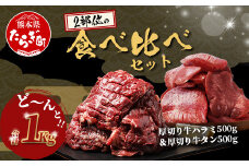 【12月発送】人気セット！ 厚切り 牛 ハラミ ステーキ＆ 厚切り 牛タン 【合計 1㎏ 】 焼肉 バーベキュー キャンプ アウトドア 牛たん ハラミ 焼き肉 カット済み 塩味 牛肉 肉  冷凍 パック 067-0672-12