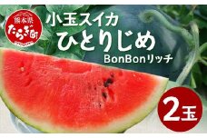 【8月上旬～発送】小玉スイカ ひとりじめ BonBonリッチ 2玉 (1玉1kg〜2kg) 夏 旬 フルーツ すいか 食べきりサイズ 西瓜 果物 旬の味覚 すいか 甘い 産地直送 082-0701