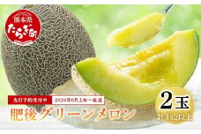 【2026年6月上旬～順次発送】肥後グリーンメロン 2玉 合計4kg以上 熊本県産 果物 フルーツ グリーンメロン 先行予約 4kg 青肉 期間限定 数量限定 熊本県 多良木町 101-0003