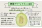 【2026年6月上旬～順次発送】肥後グリーンメロン 2玉 合計4kg以上