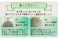 【2026年6月上旬～順次発送】肥後グリーンメロン 2玉 合計4kg以上